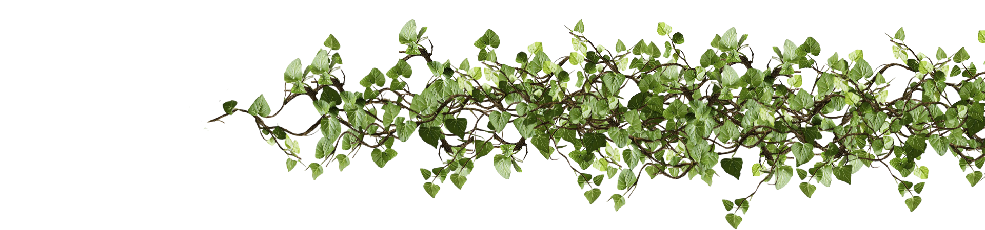 Right leaves separator