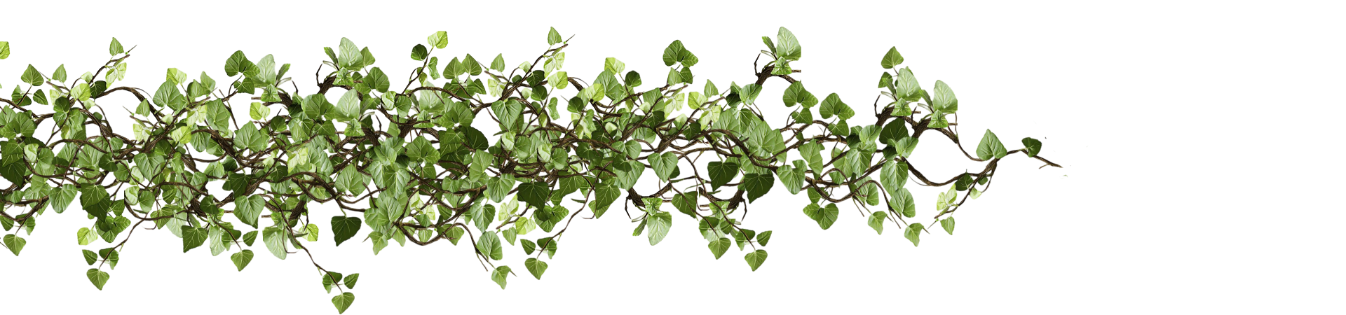 Left leaves separator
